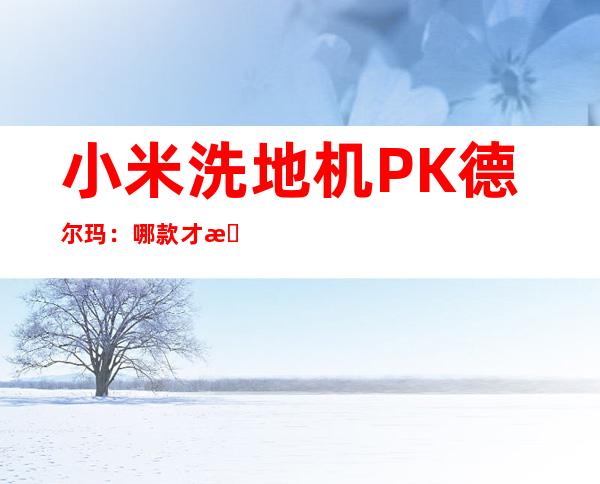 小米洗地机PK德尔玛：哪款才是清洁神器？